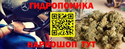 ECSTASY Обь