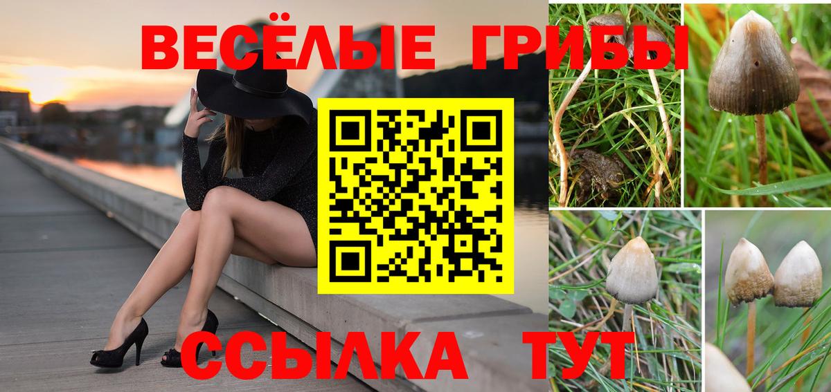 Кореновск  Псилоцибиновые грибы Magic Shrooms  Галлюциногенные грибы MAGIC MUSHROOMS  Вход с VPN 